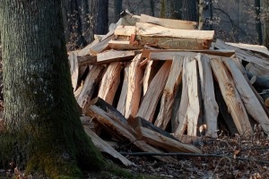 Vente de bois de chauffage