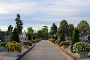 Déclarer un décès, Concessions et cimetière